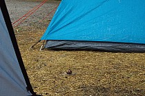 śniadanie do łóżka :)