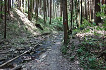 Niebieski Szlak Turyń