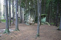 Na Żółtym szlaku Les Kralostvi