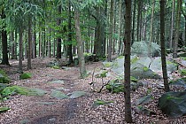 Zielony Szlak Zalesi