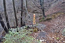 Źródlisko w Hawryłach