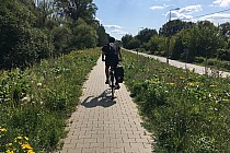 Nadwiślańskie wały