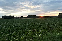 Zachód słońca, do celu dotarliśmy już po zmroku.