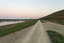 grobla Pilczycko-Pracka