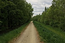 Gdzieś w Lesie Rędzińskim