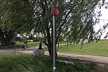 Fragment szlaku T3 na ścieżce rowerowej między Bielanami a Domasławiem. Zdjęcie z maja 2020