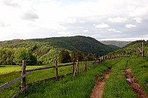 Widok na Kruczą Kopę