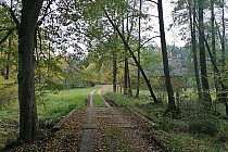 Okolice przysiółka Dubiele