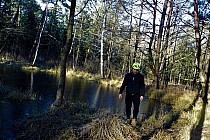 Początek rzeki Dobrawa /Puszcza Sandomierska/