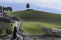Fot: Strade Bianche