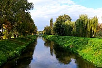 Rzeka Brynica w Czeladzi