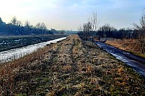 Brynica w okolicach Piekar Śląskich