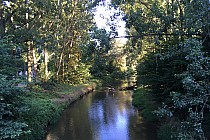 Bystrzyca w Sadowicach