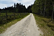 Początek jazdy w Puszczy  Solskiej