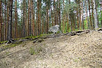 Miejsce śmierci  "Korszrza"