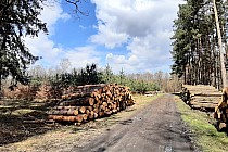 Szlak rowerowy Z MIkołowa do Rudy Śląskiej Halemby