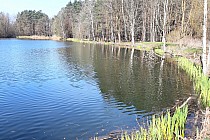 Staw nr3 stowarzyszenia wędkarskiego ''Lin''