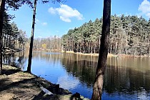 Staw nr1 stowarzyszenia wędkarskiego ''Karp''