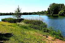 Dolina Trzech Stawów w Katowicach