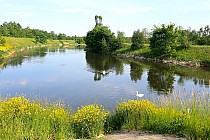 Brynica w Wojkowicach