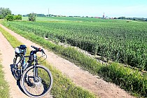 Okolice Dąbrówki wielkiej w Piekarach Śląskich