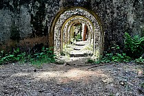 Ruiny zatopionej kopalni Bibiela