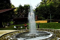 Sołonka  ,z jej słonymi  źródłami