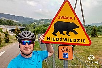 Uwaga na niedźwiedzie w Małopolsce