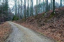 Powrót z singla Żmija