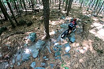 Ujęcie z lata na Żmii