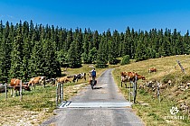 Trasa rowerowego Szlaku Jury