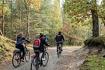 Okolice Osetnika, fot. https://pomorskie.travel