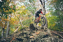 fot. https://pmbike-experts.pl