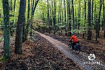 Szlak rowerowy EuroVelo 10 w Wolińskim Parku Narodowym