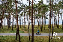 Szlak rowerowy EuroVelo 10 koło Wicia