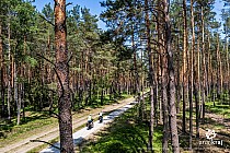 Droga rowerowa śladem kolei wąskotorowej w Dolinie Baryczy