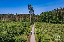 Droga rowerowa w Dolnośląskiej Krainie Rowerowej koło Milicza