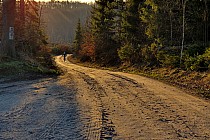 fot. kolarstwoprzygodowe.pl