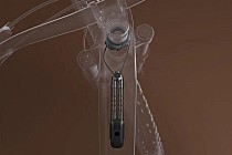 K.I.S. fot. canyon.com