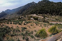 Coll de Sóller