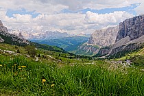 Czerwiec 2023, Dantercepies