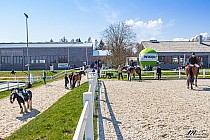 fot. Barłomino Klub Jeździecki