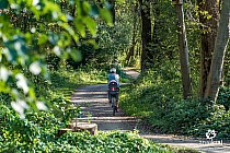 Szutrowy odcinek Velo Soła