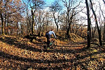 Zjazd z Wieżycy w kierunku Ślęży