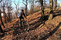 Końcówka podjazdu na Wieżycę.