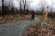 Rowerowy Park Umiejętności na Janosiku, podjazd singlem