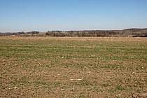 Na tych  polach gdzieś jest jeszcze jedna mogiła, niestety jej nie odnalazłem!