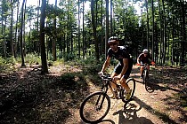 Fragment prowadzący na Przełęcz Waliborską