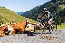 Fot: Martin Steiger
/ World Games of Mountainbiking 2025 Saalbach