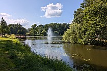 Staw w zespole Pałacowym w Żmigrodzie